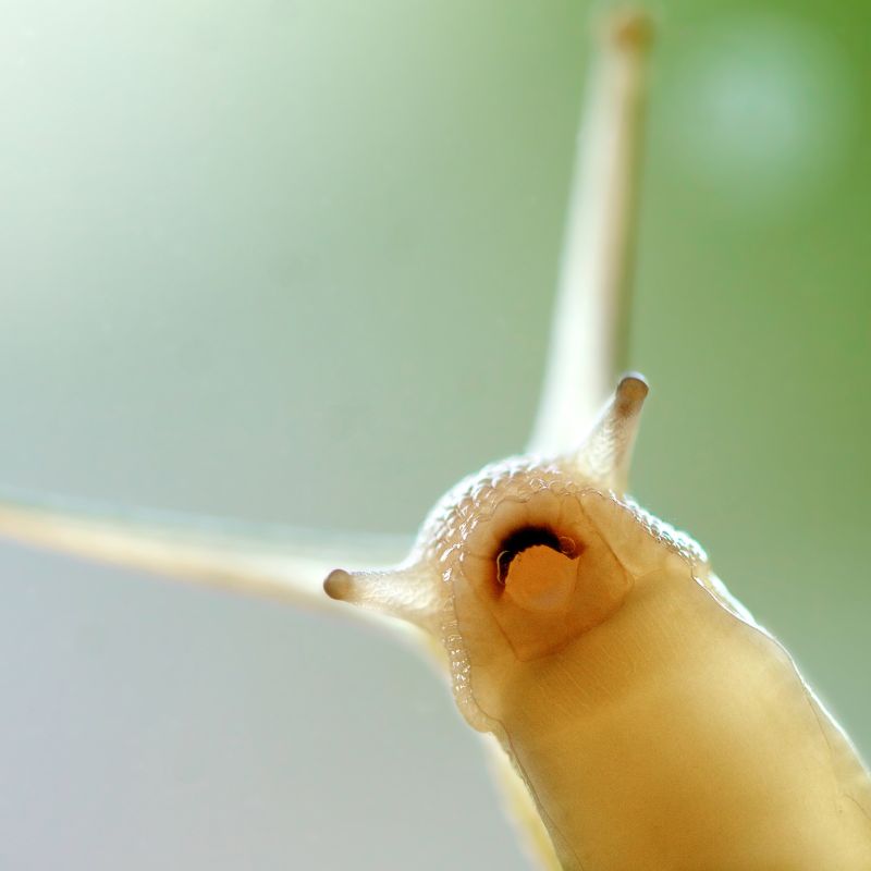 Bilder_web (15)